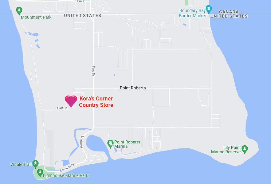 Google Maps Location